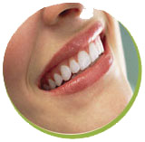 tipulim